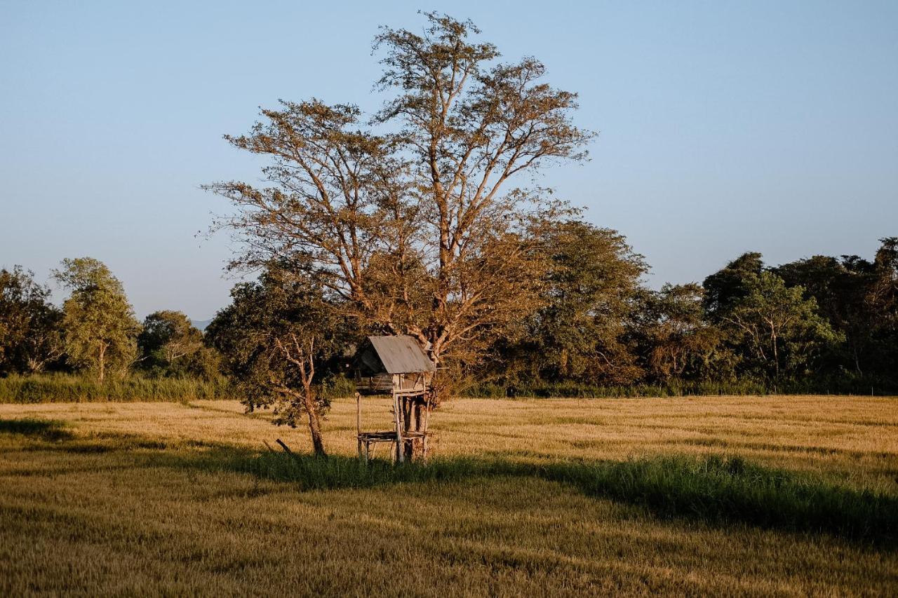 Roy'S Villa Sigiriya Bagian luar foto